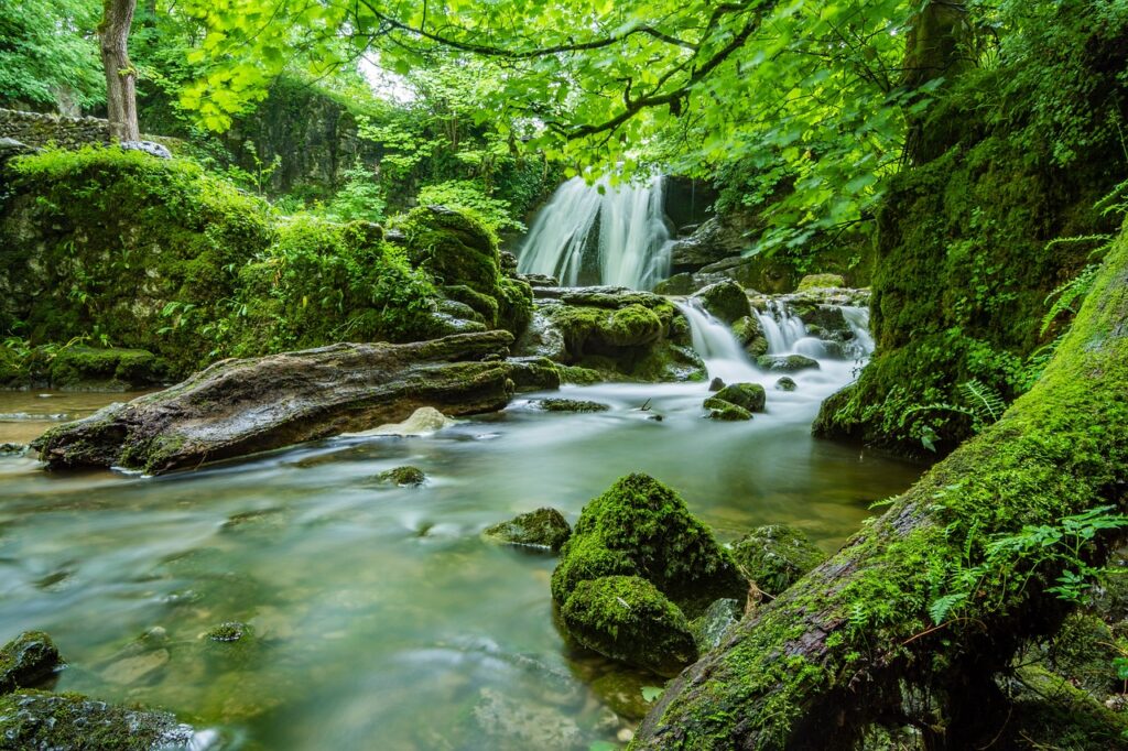 Unveiling Nature's Treasures: Hidden Waterfall Hikes Across the UK