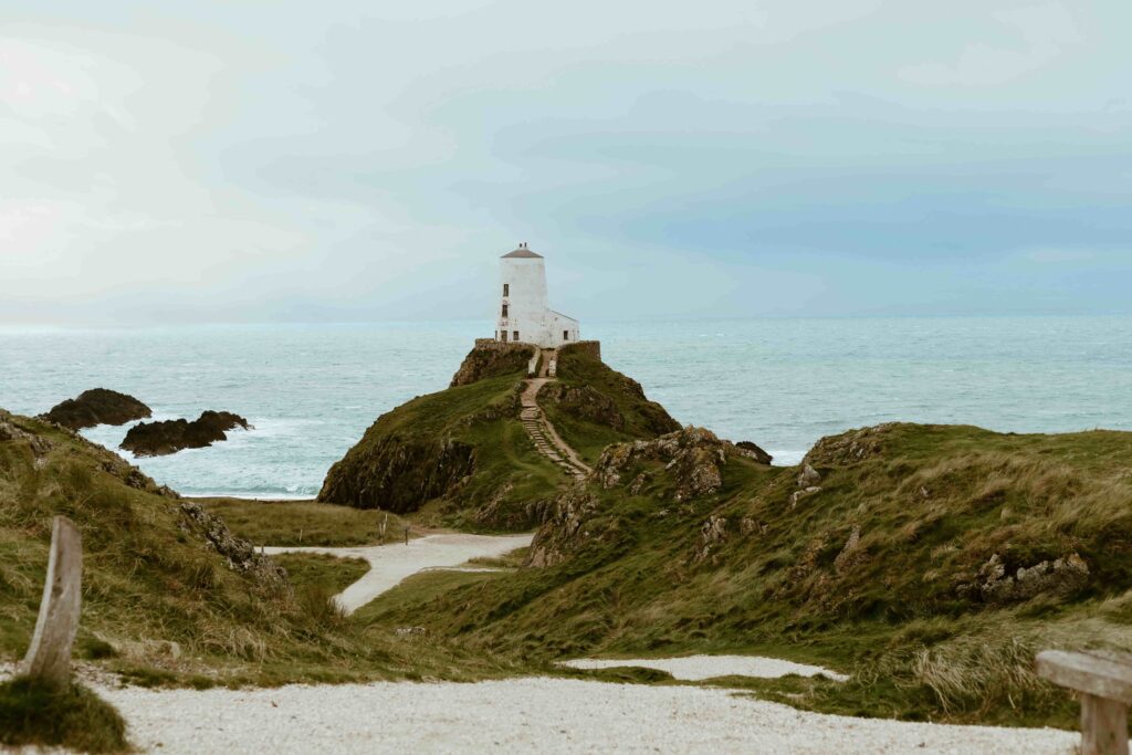 Exploring Nature's Pantry: A Coastal Foraging Experience on the Isle of Anglesey